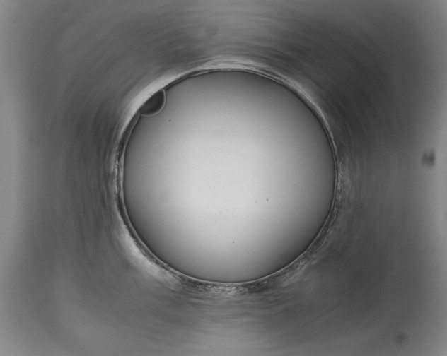X0000115441003200911181519