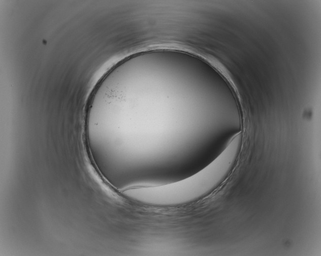 X0000115441005200911181519