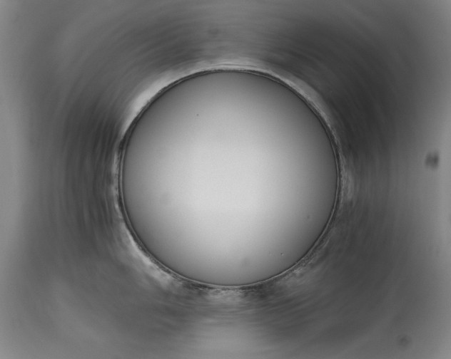 X0000115441006200911181519