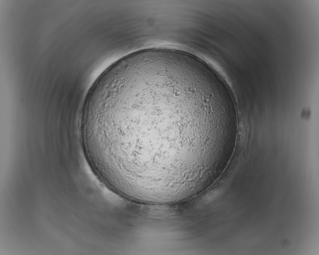 X0000115441007200911181519