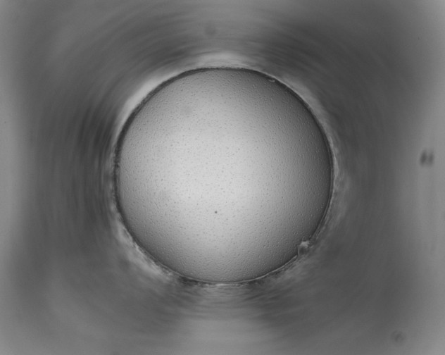 X0000115441008200911181519