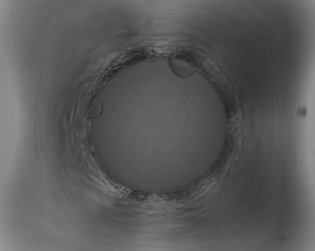 X0000115441009200911181518