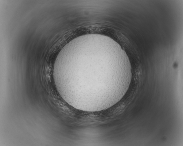 X0000115441010200911181518