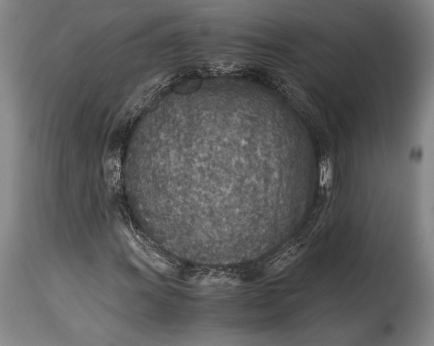 X0000115441011200911181518