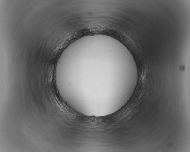 X0000115441012200911181518