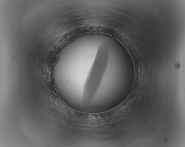 X0000115441013200911181518