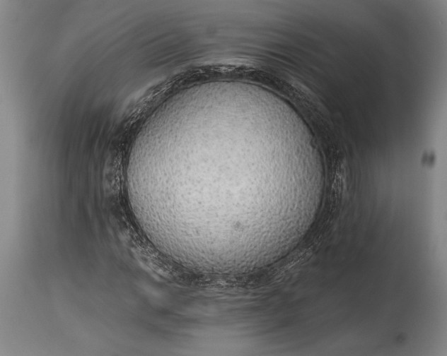 X0000115441014200911181518
