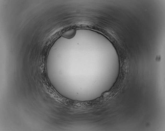 X0000115441015200911181518