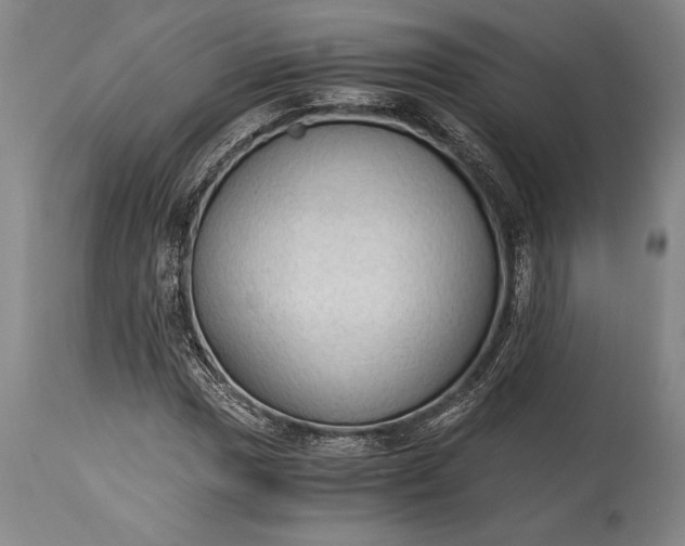 X0000115441017200911181518