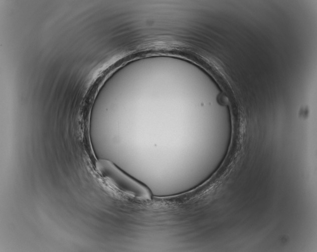 X0000115441018200911181518