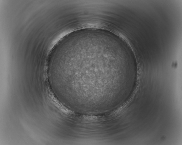 X0000115441019200911181518