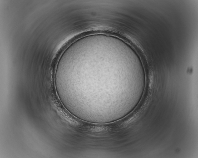 X0000115441021200911181518