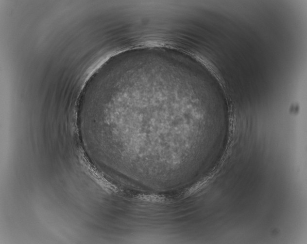 X0000115441023200911181518