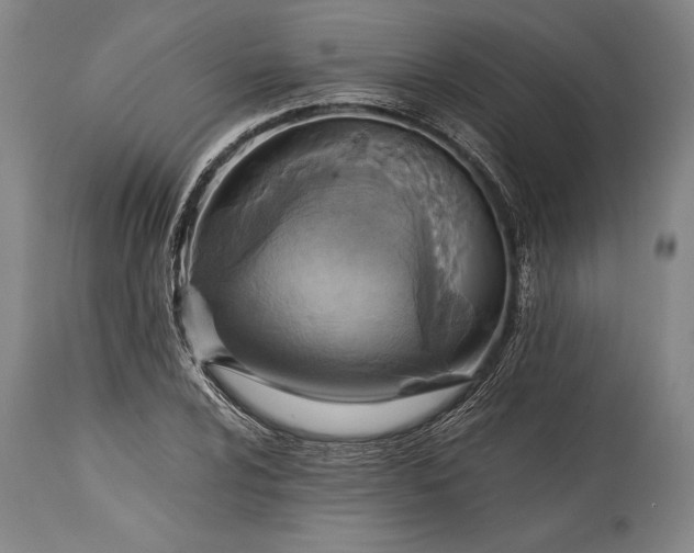 X0000115441024200911181518
