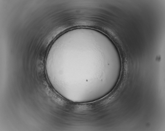 X0000115441025200911181518