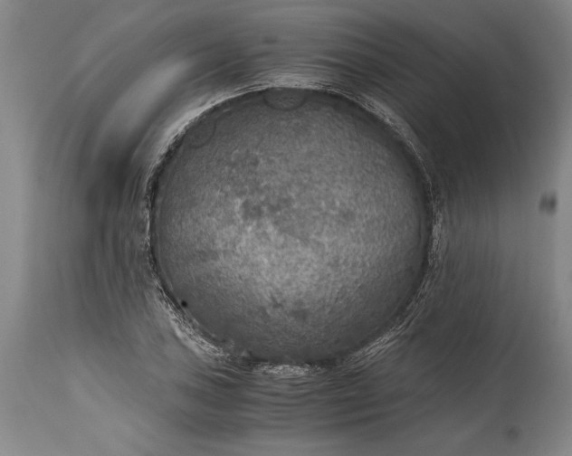 X0000115441027200911181519