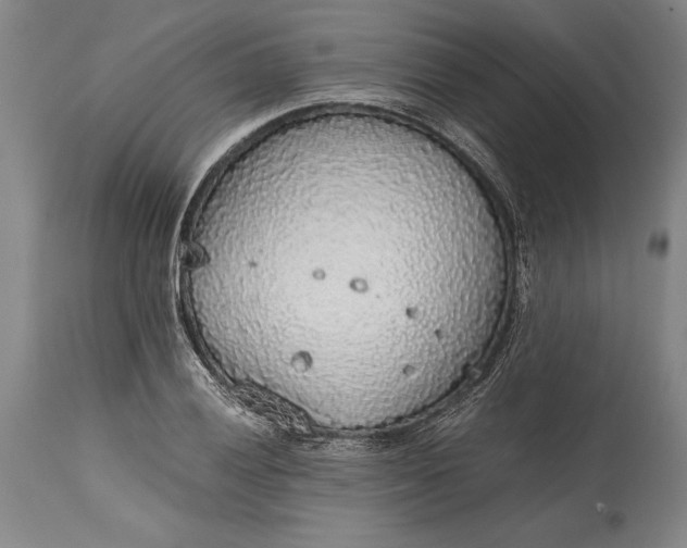 X0000115441028200911181519