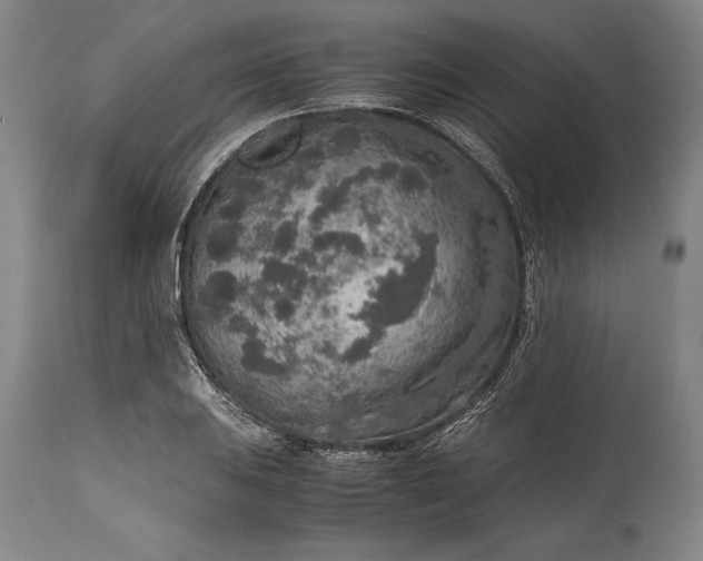 X0000115441031200911181519