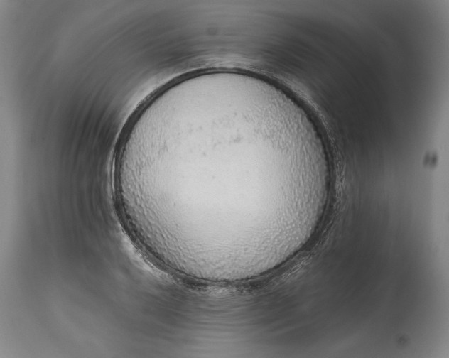 X0000115441032200911181519
