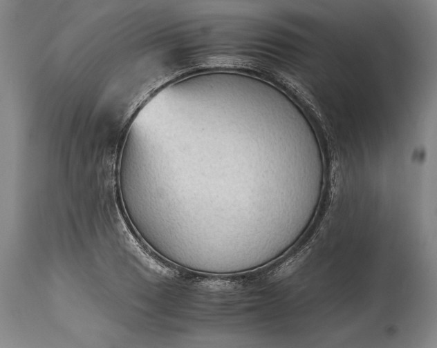 X0000115441033200911181519