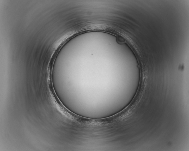 X0000115441034200911181519