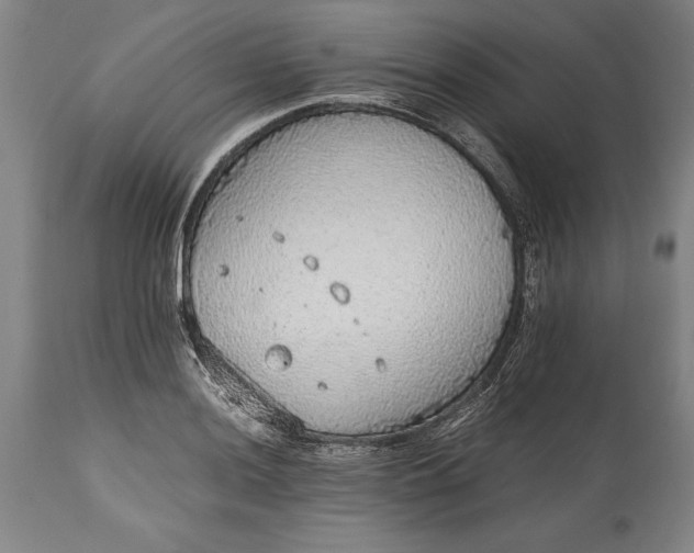 X0000115441036200911181519