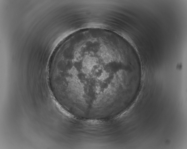 X0000115441037200911181519
