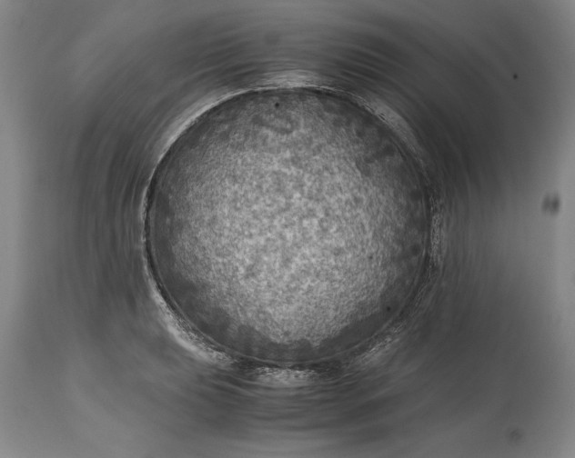 X0000115441039200911181519
