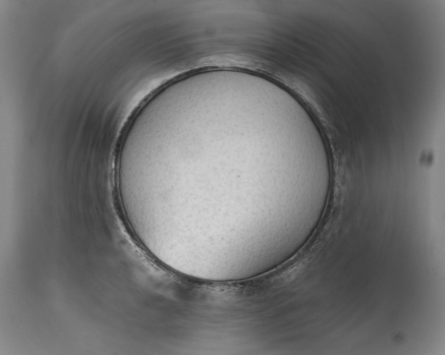 X0000115441040200911181519