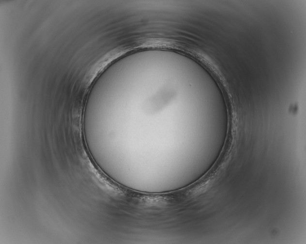 X0000115441041200911181519