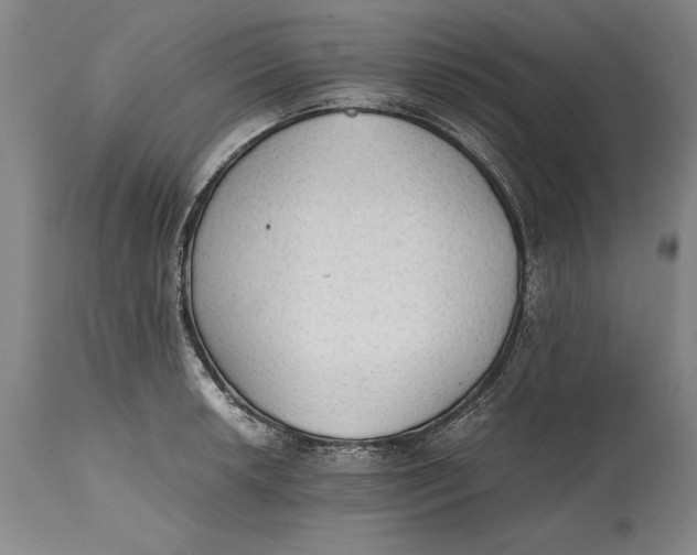 X0000115441042200911181519