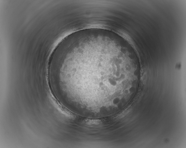 X0000115441043200911181519