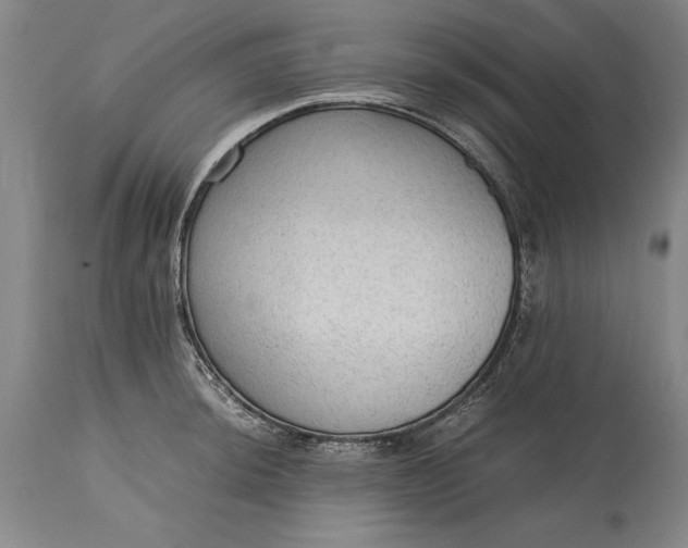 X0000115441044200911181519
