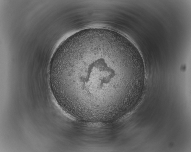 X0000115441045200911181519