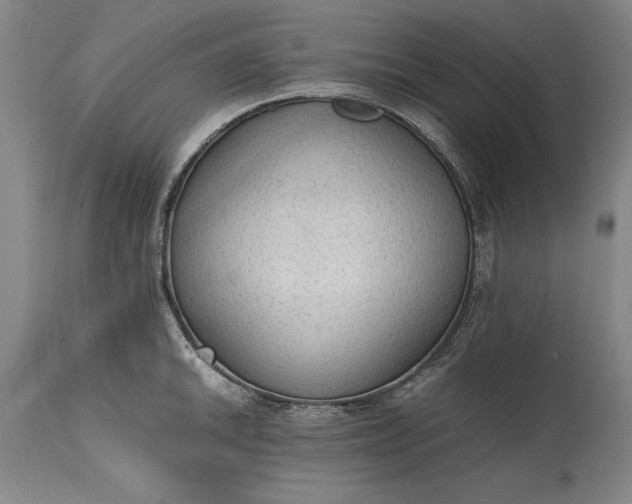 X0000115441046200911181519