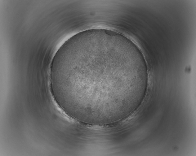 X0000115441048200911181519