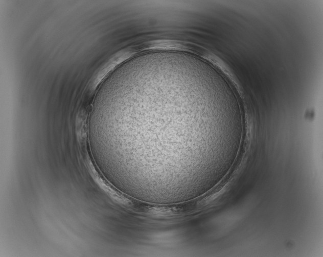 X0000115441049200911181519