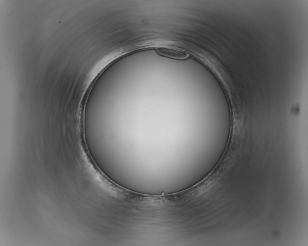 X0000115441050200911181519