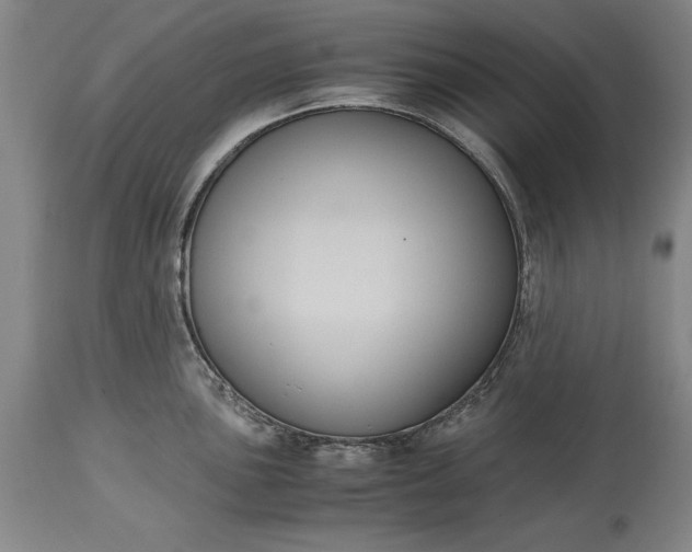 X0000115441051200911181519