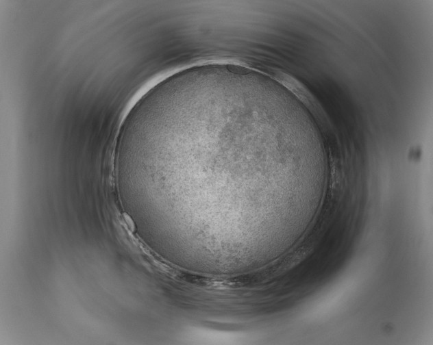X0000115441052200911181519