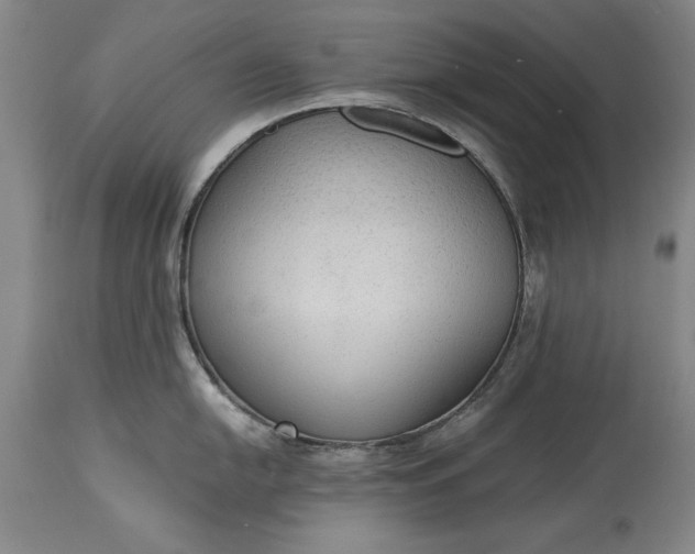 X0000115441054200911181519