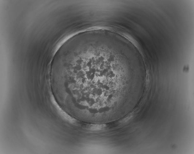 X0000115441055200911181519