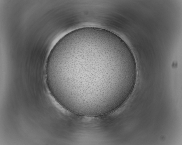 X0000115441056200911181519
