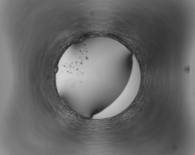 X0000115441057200911181518
