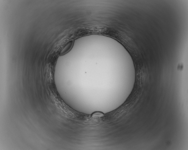 X0000115441058200911181518
