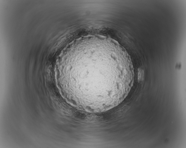 X0000115441059200911181518