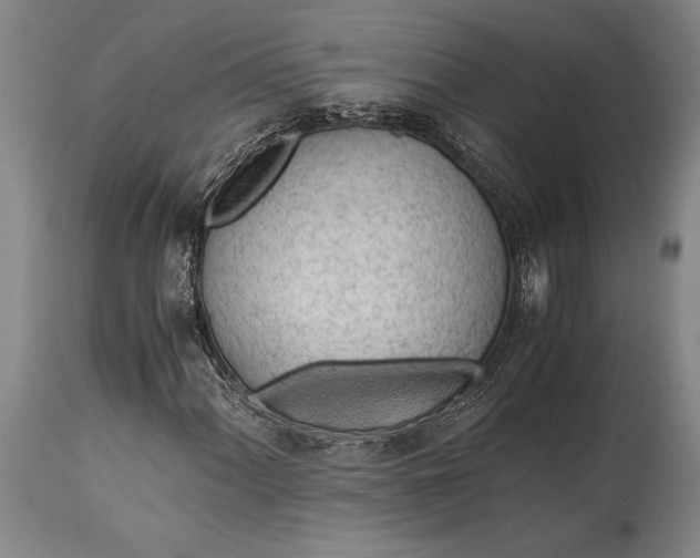 X0000115441060200911181518