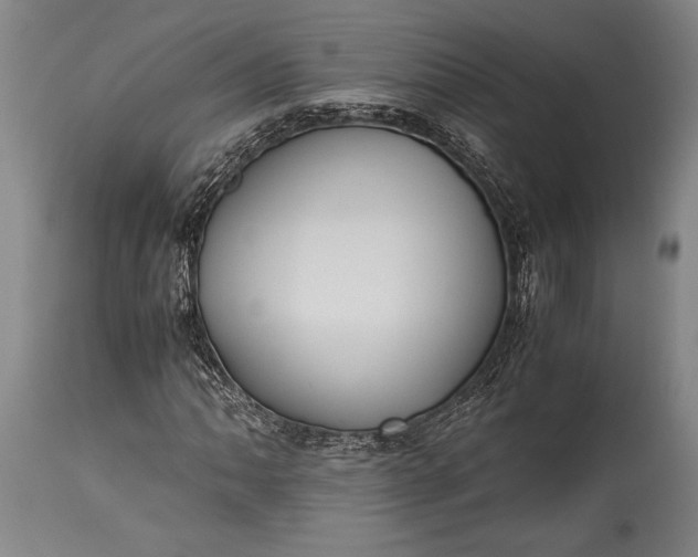 X0000115441062200911181518