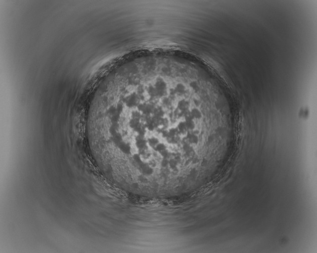 X0000115441063200911181518