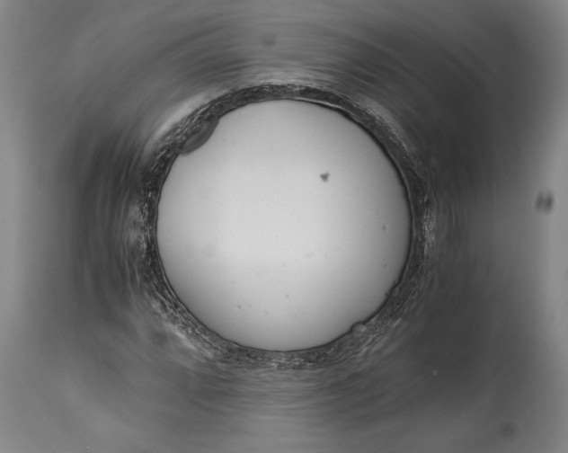 X0000115441064200911181518